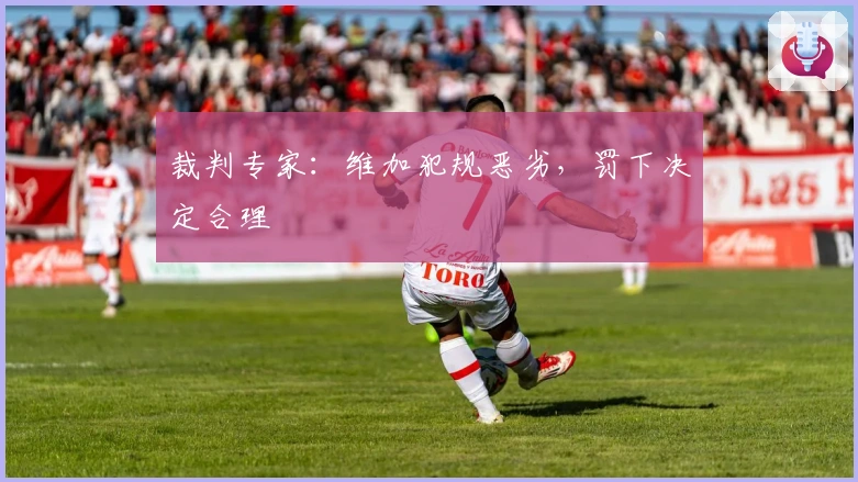 裁判专家：维加犯规恶劣，罚下决定合理