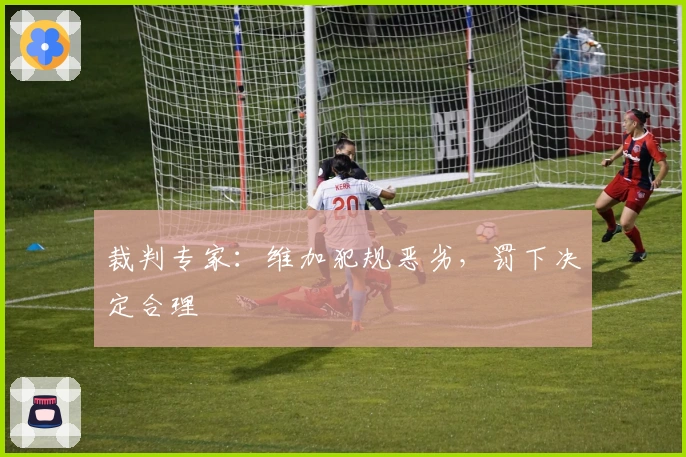 裁判专家：维加犯规恶劣，罚下决定合理